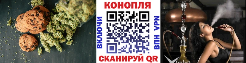 дарк нет как зайти Горняк Cannafood конопля