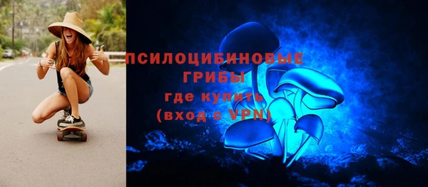 мдпв Богданович