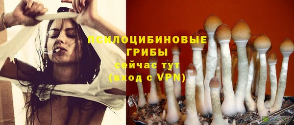 ECSTASY Белоозёрский