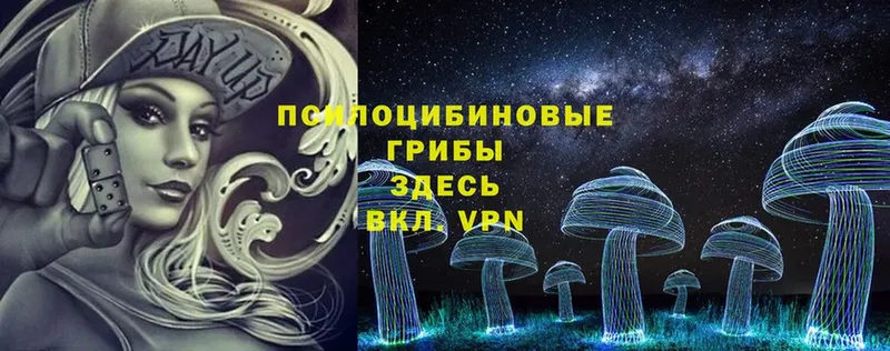 Галлюциногенные грибы Psilocybe  МЕГА как зайти  Горняк 